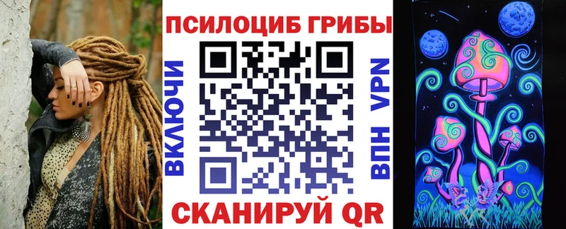 где можно купить   Кропоткин  Псилоцибиновые грибы Psilocybine cubensis 